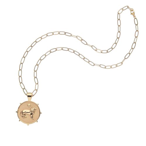 Gold Small Courage Coin Pendant on drawn link chain