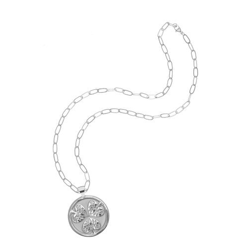 Silver Joy Coin on Gold Drawn Link Chain