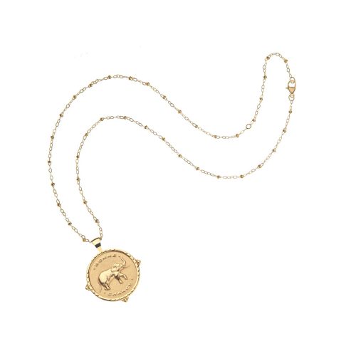 Gold Lucky Bonne Chance Coin on Satellite Beaded Chain