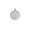 Silver Small Coin Pendant with Four leaf clover and horseshoe illustration