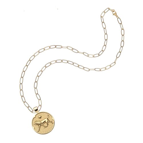 Gold small Leo coin pendant on drawn link chain