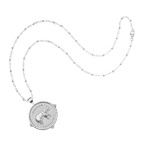 Silver Lucky Bonne Chance Coin on Satellite Beaded Chain