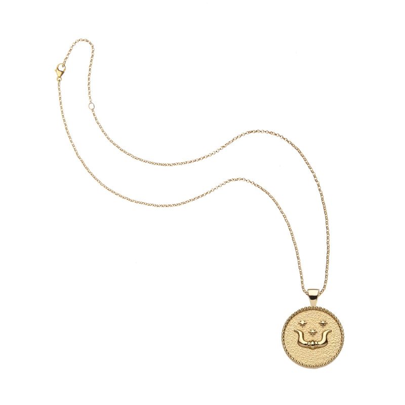 Gold small Taurus coin pendant on classic rolo chain