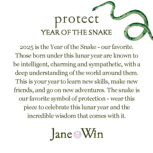 Year of the Snake 1